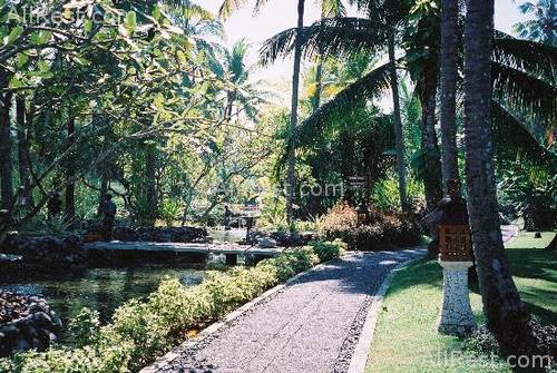 Melia Bali - The Garden Villas 51